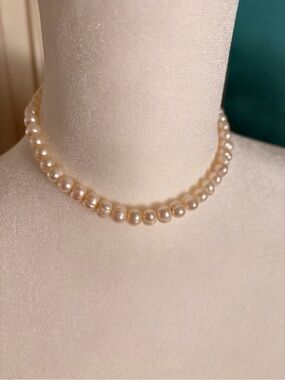 Classic Mother of Pearl Choker Necklace